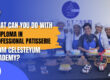 What can you do with a diploma in professional patisserie from celesteyum