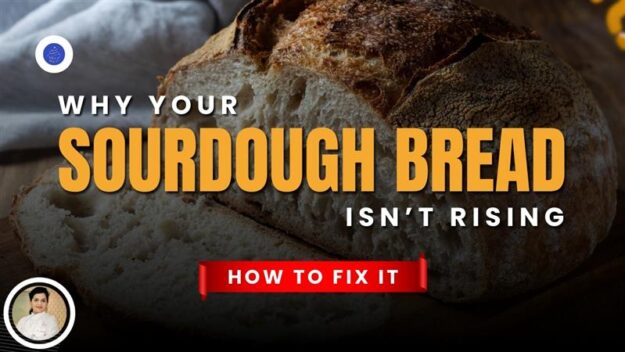 Sourdough Bread